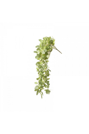 Feuilles de vigne 26x8x79 cm